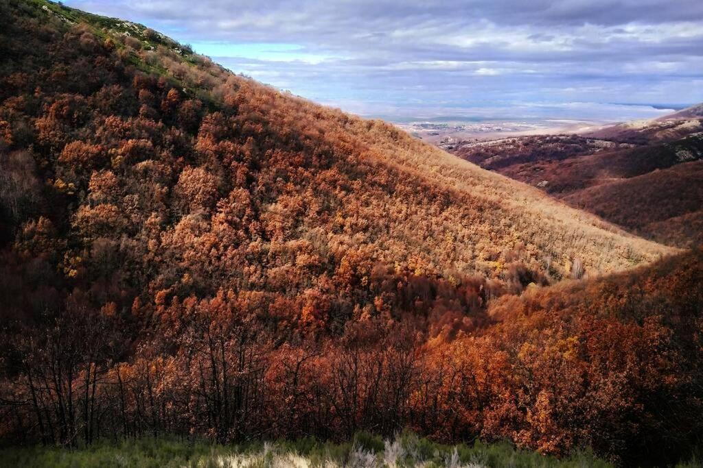 El último rincón, dúplex con piscina climatizada en plena naturaleza La Pinilla  Exterior foto