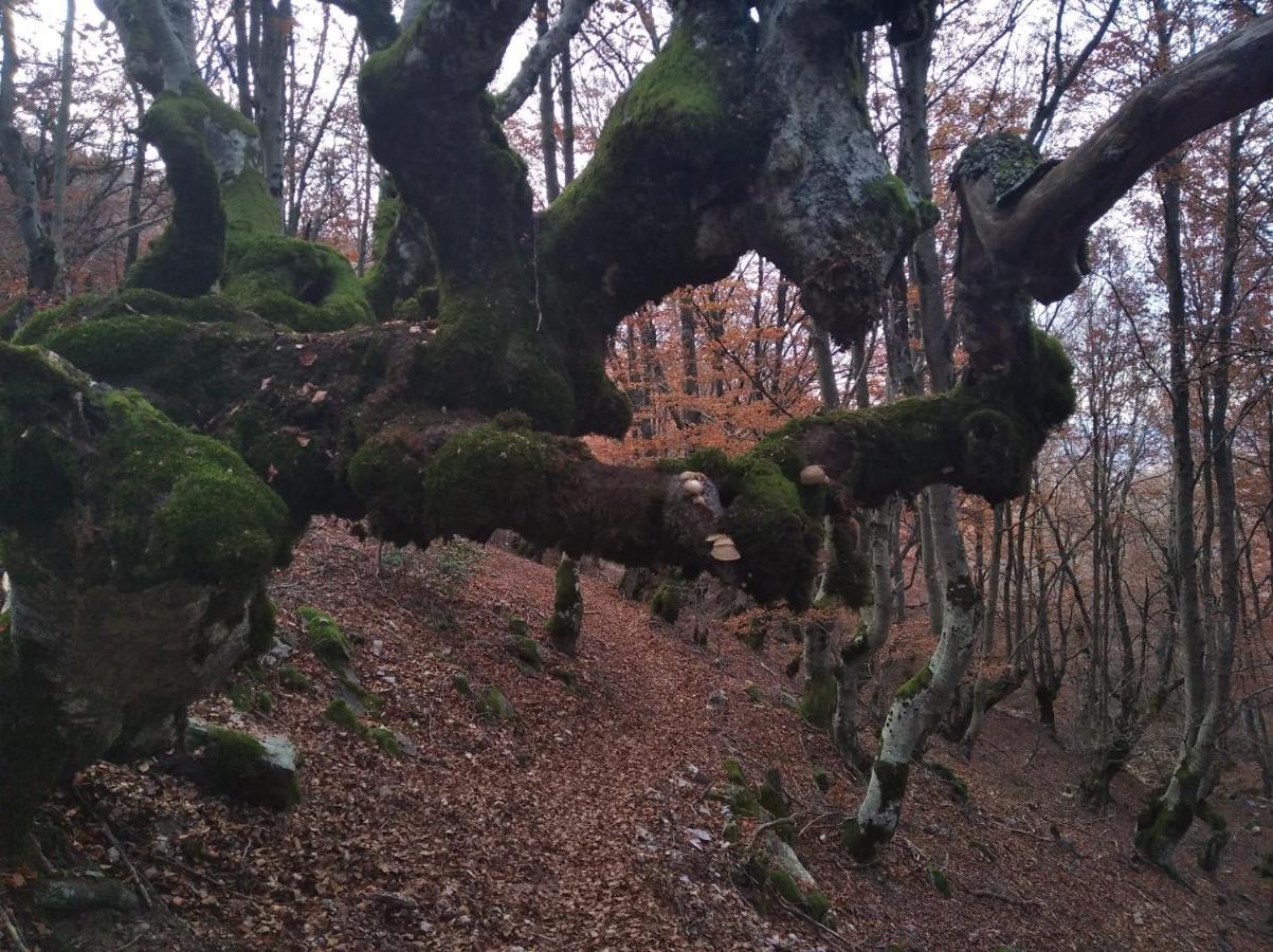 El último rincón, dúplex con piscina climatizada en plena naturaleza La Pinilla  Exterior foto
